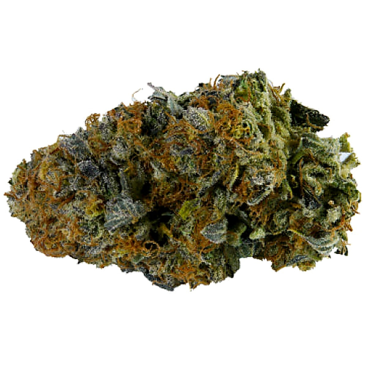 Forbidden Cherry (Hybrid) - Detail View