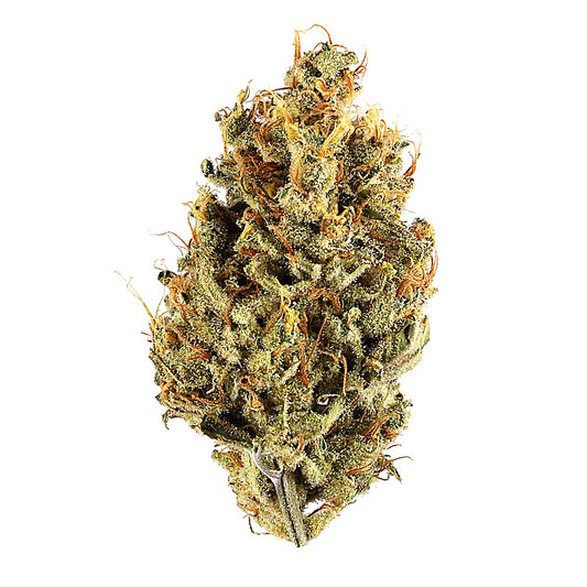 Gelato 13 (Hybrid) - Main Image