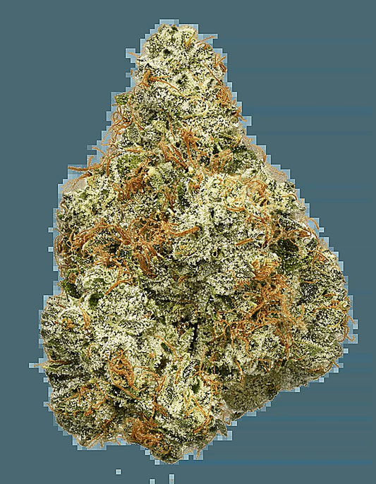 Ghost OG (Indica Dom. Hybrid) - Main Image