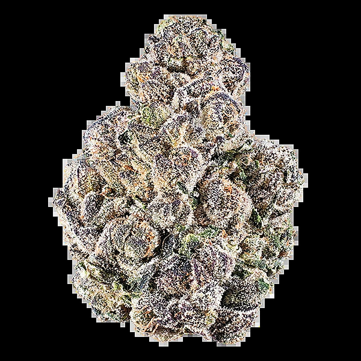 Grapechata (Hybrid) - Main Image