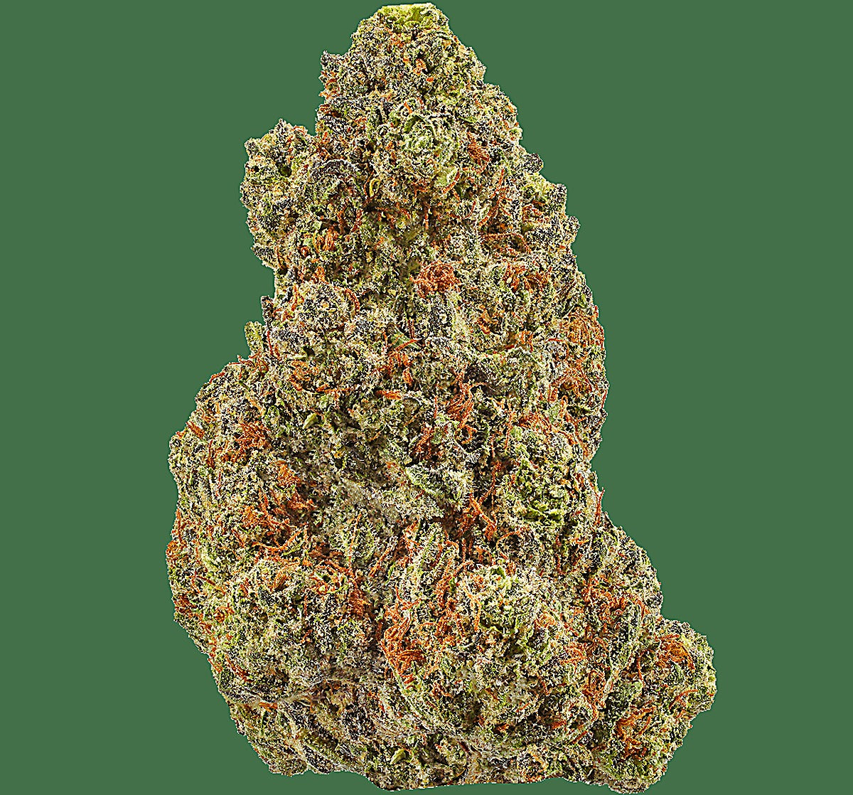 Hawaiian Snow Cone (Sativa Dom. Hybrid) - Main Image