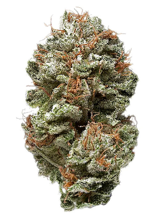 Itsasecret (Hybrid) - Main Image