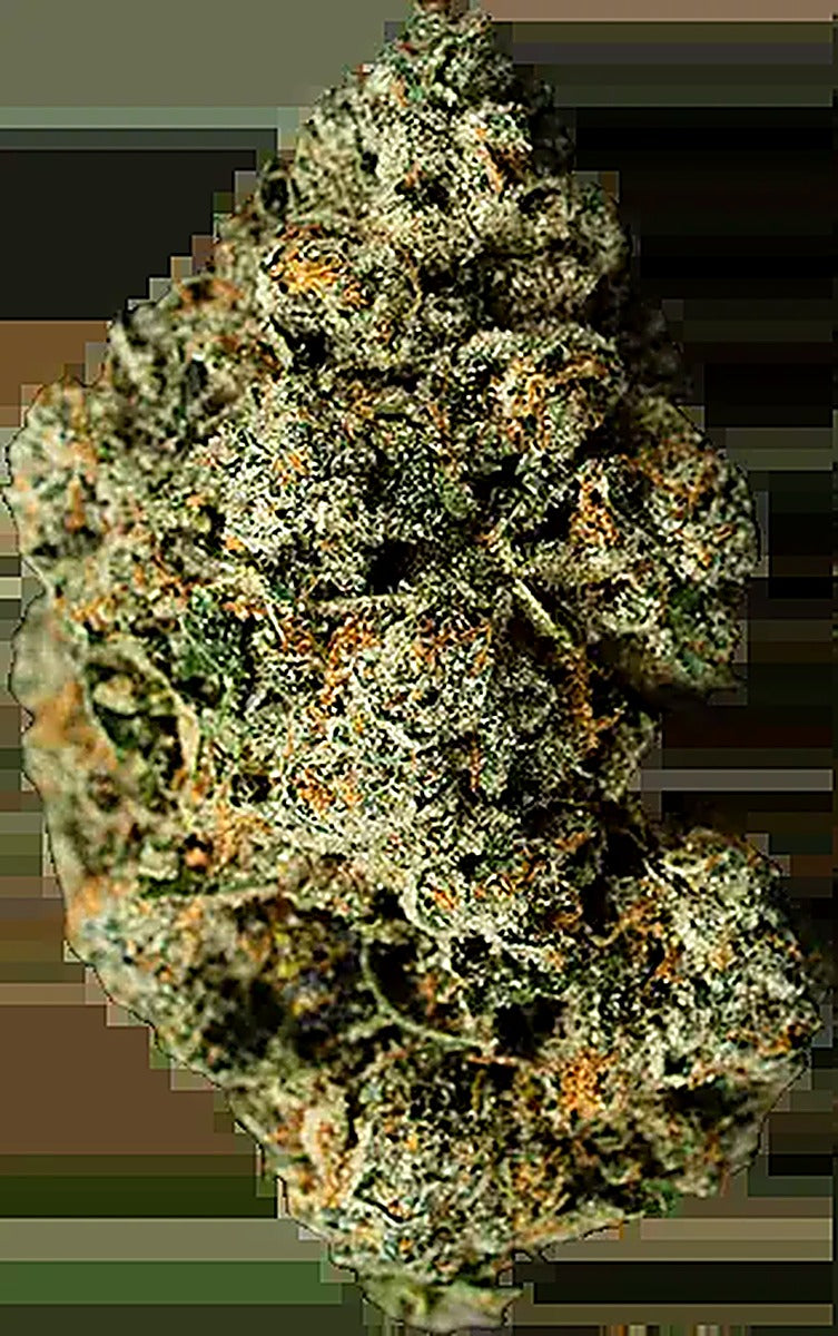 Jet Fuel Gelato (Sativa Dom. Hybrid) - Main Image
