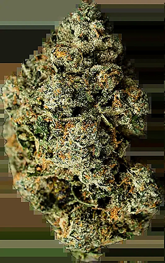 Jet Fuel Gelato (Sativa Dom. Hybrid) - Main Image
