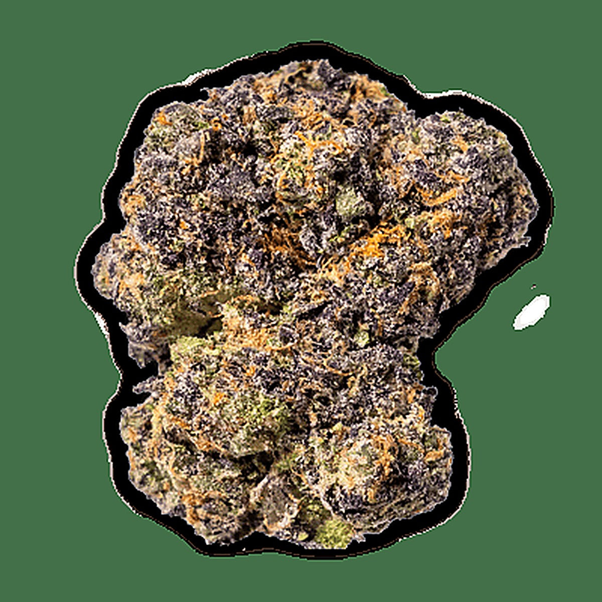 Jungle Gelato(Hybrid) - Detail View