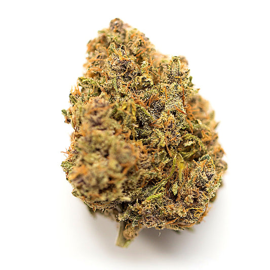 King Louis OG(Hybrid) - Detail View