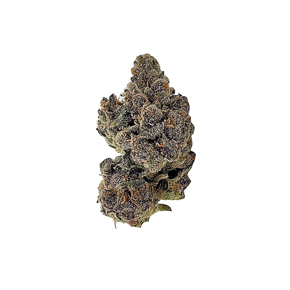 Lazer Fuel (Hybrid) - Main Image