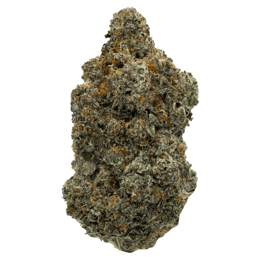 Lemon Popz (Hybrid)
