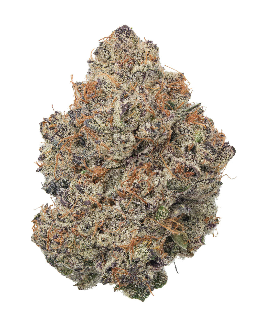 Super Lemon Cherry Gelato (Hybrid)