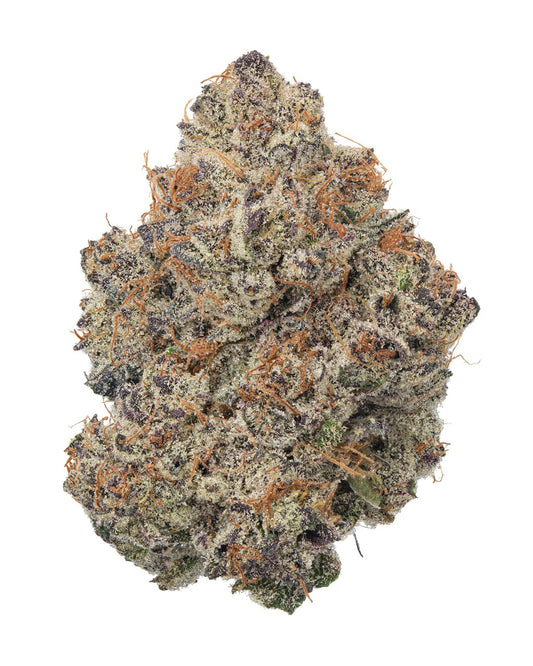 Super Lemon Cherry Gelato (Hybrid)