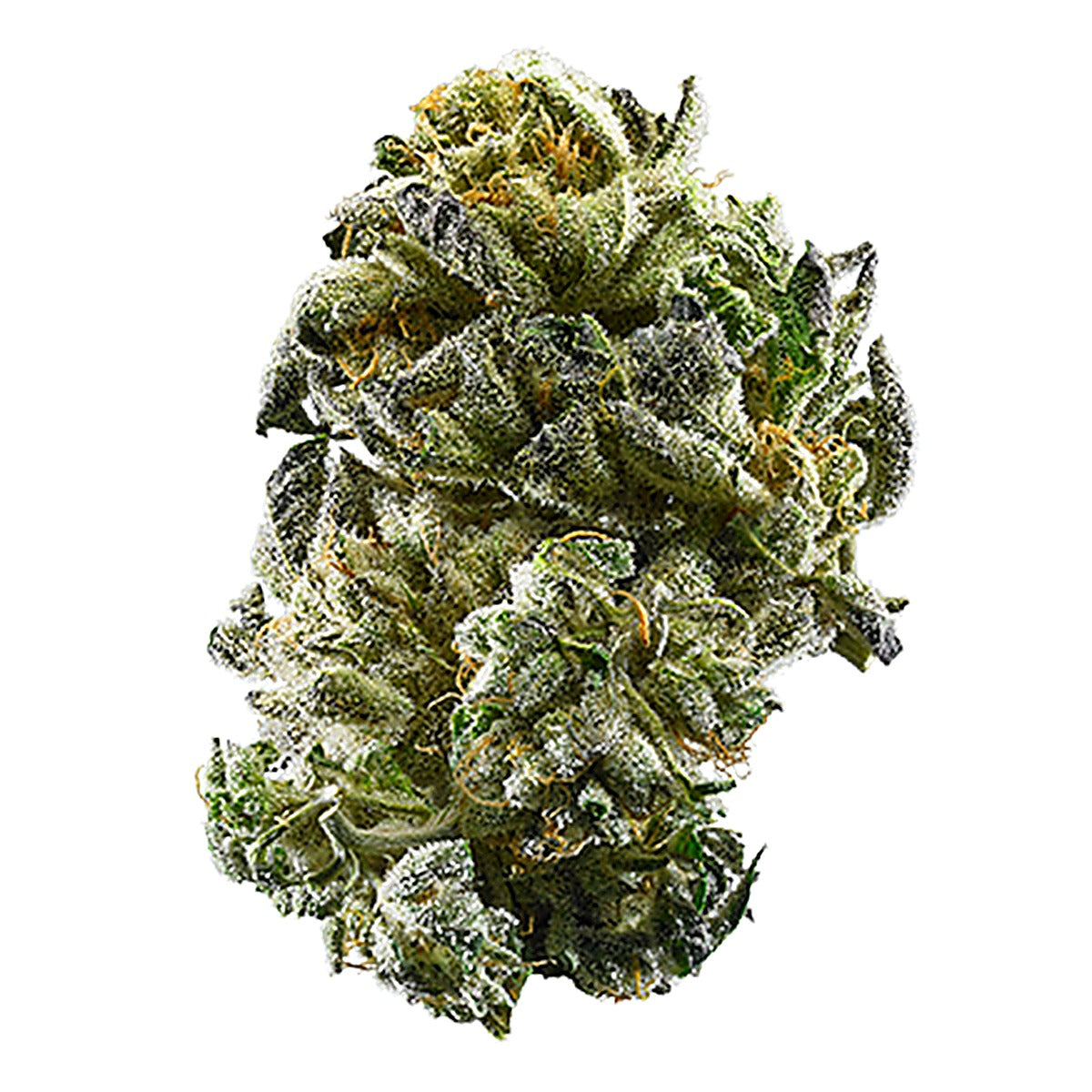 Lime Candy(Hybrid) - Detail View