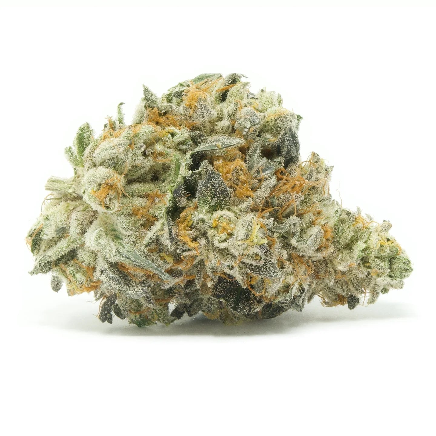 Lime Candy (Hybrid)