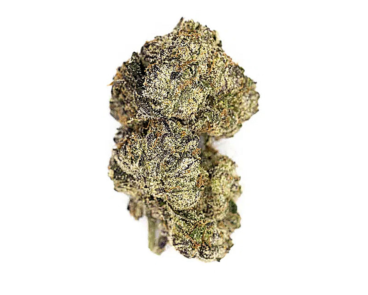 Maybach (Indica Dom. Hybrid) - Detail View