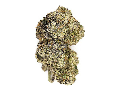 Maybach (Indica Dom. Hybrid) - Detail View