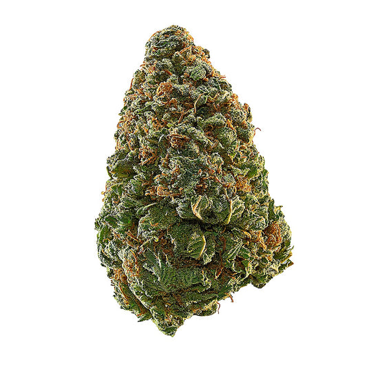 Mota LA Kush(Hybrid) - Detail View