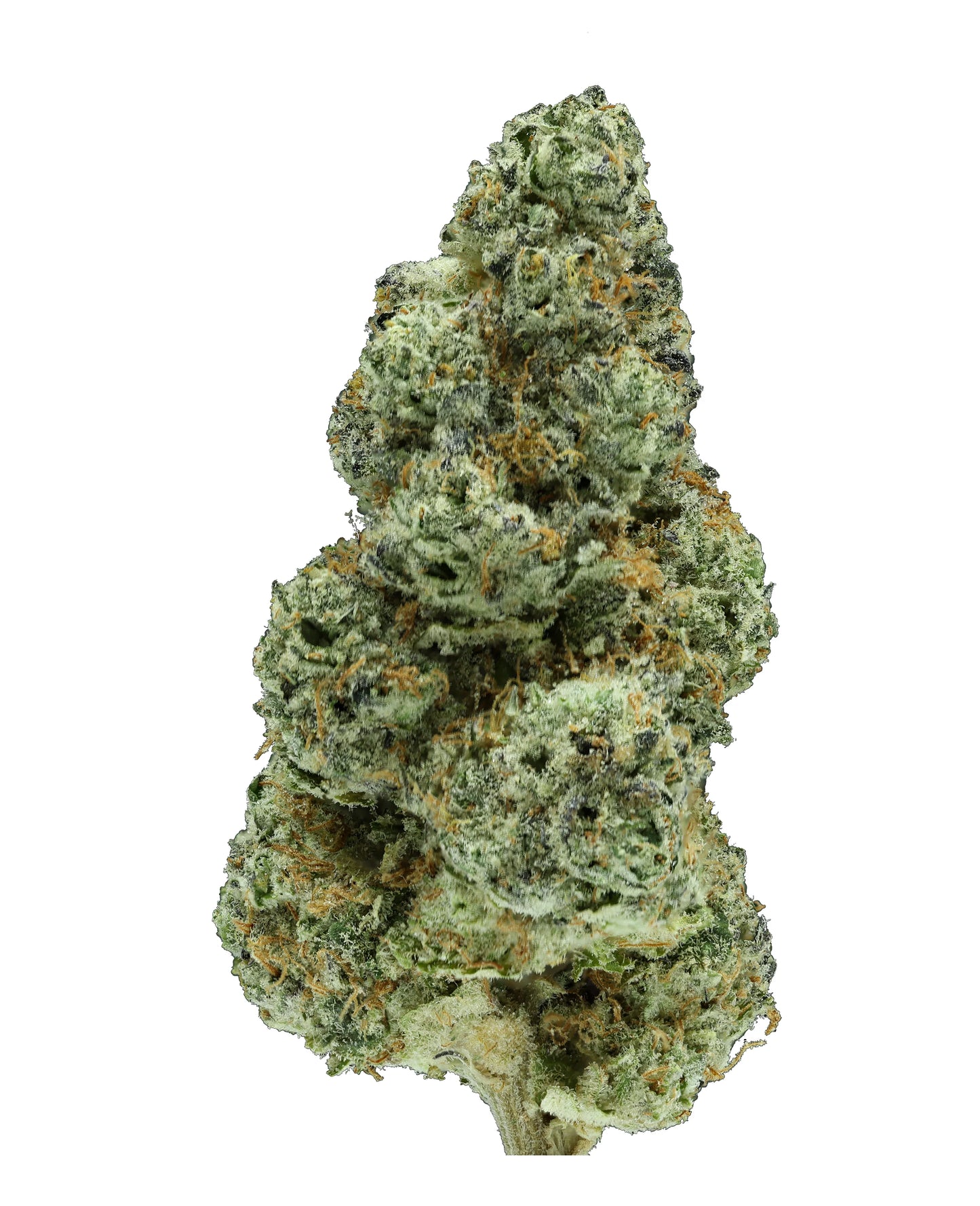 Mule Fuel OG (Hybrid)