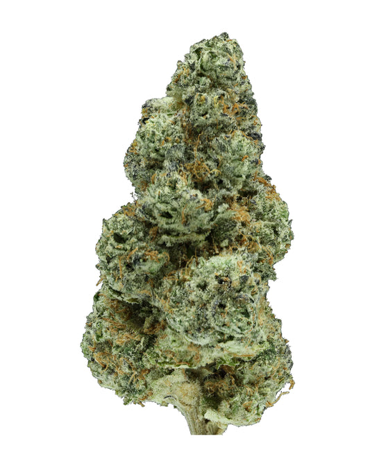 Mule Fuel OG (Hybrid)