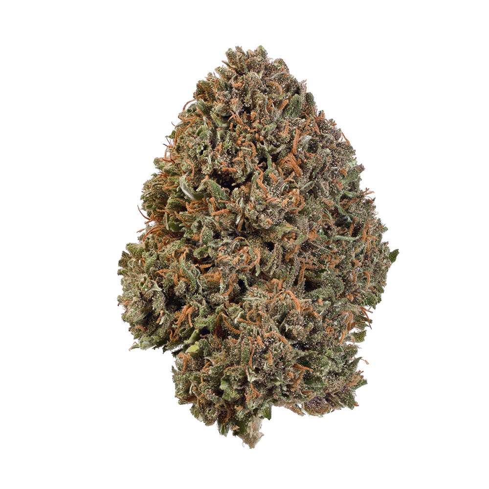 Pink Panther (Sativa Dom. Hybrid)