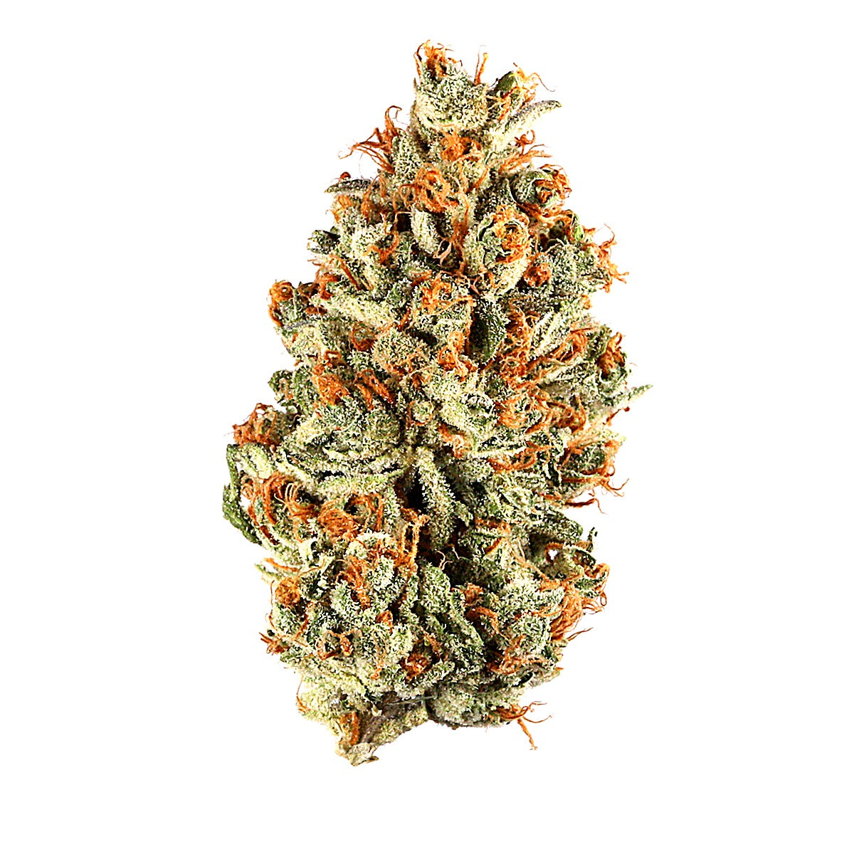 Platinum OG(Indica) - Detail View