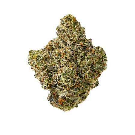 Pluto 85 (Indica Dom. Hybrid) - product image