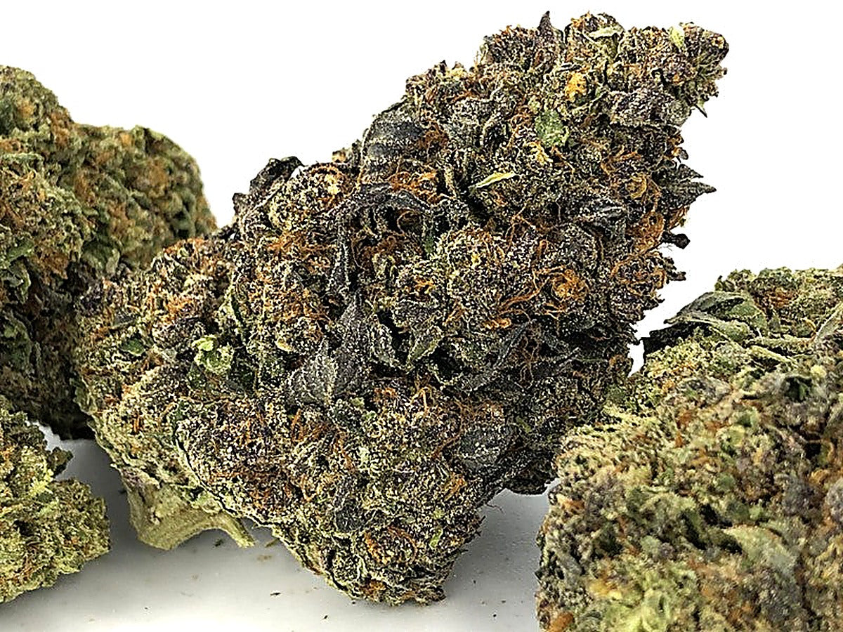 Purple Gumbo(Hybrid) - Detail View