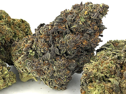 Purple Gumbo(Hybrid) - Detail View