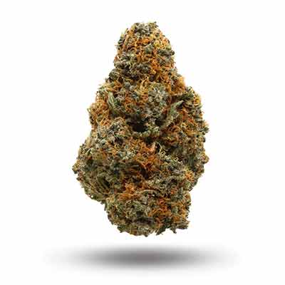 Rainbow Gas (Indica Dom. Hybrid)