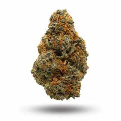 Rainbow Gas (Indica Dom. Hybrid)