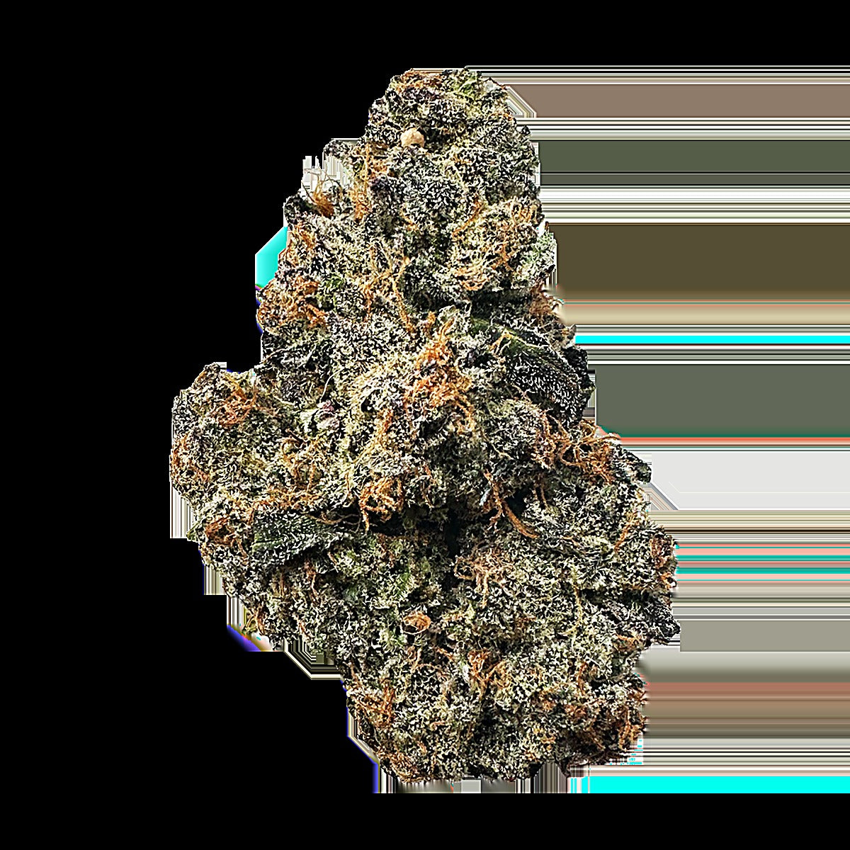 Sour Warhead (Sativa Dom. Hybrid) - Main Image