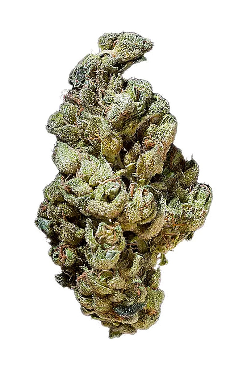 Street Candy (Hybrid) - Main Image