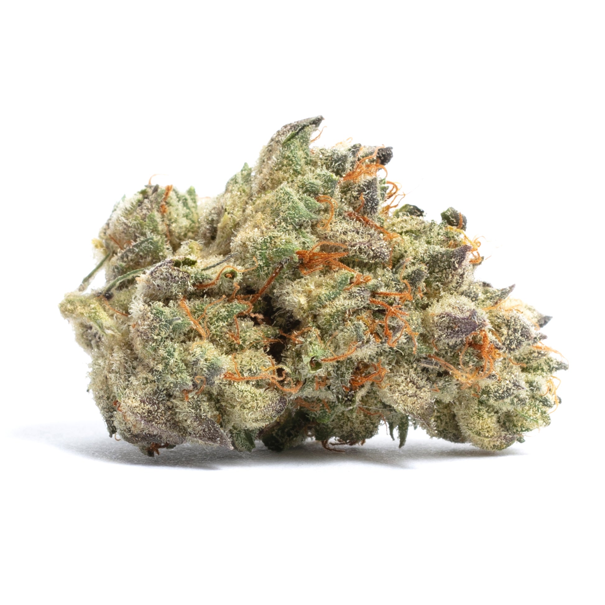 Cookies and Cream(Hybrid)