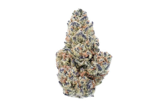 White Widow (Hybrid)