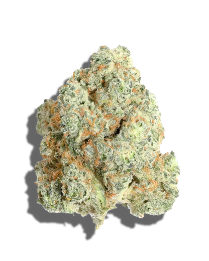 Wild Cherry (Hybrid)