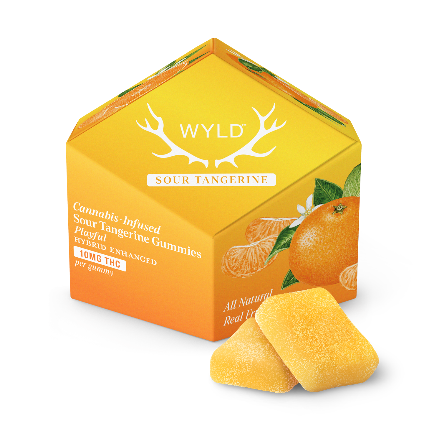 Wyld Delta-9 THC Gummies 10pc (100 MG Total) - Main Image