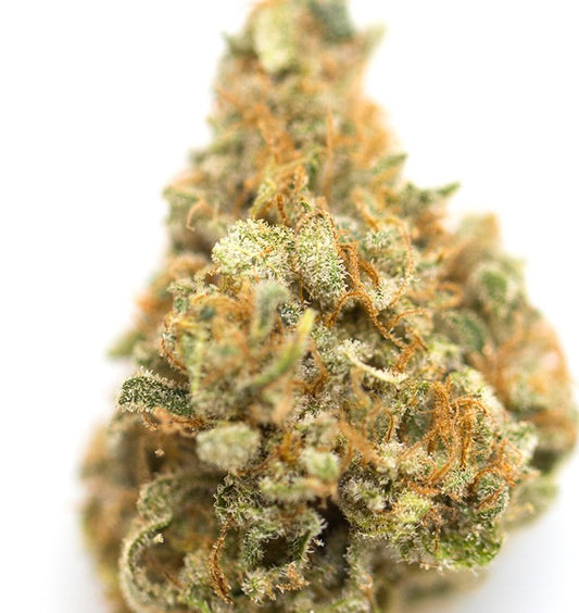 Benny Blanco(Sativa) - close up detail