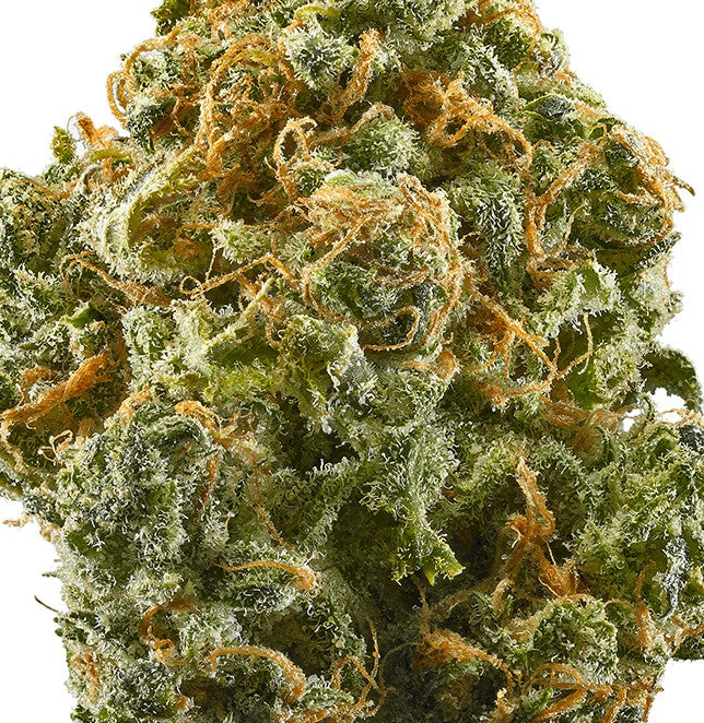 Blue Dream(Sativa dom. Hybrid)