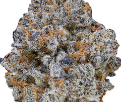 Blue Cookies(Hybrid)
