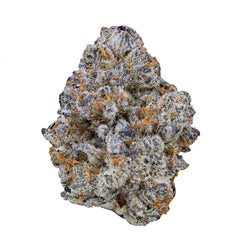 Blue Cookies(Hybrid)