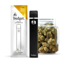 Budget THC-A Blend 1 Gram Disposable Pens