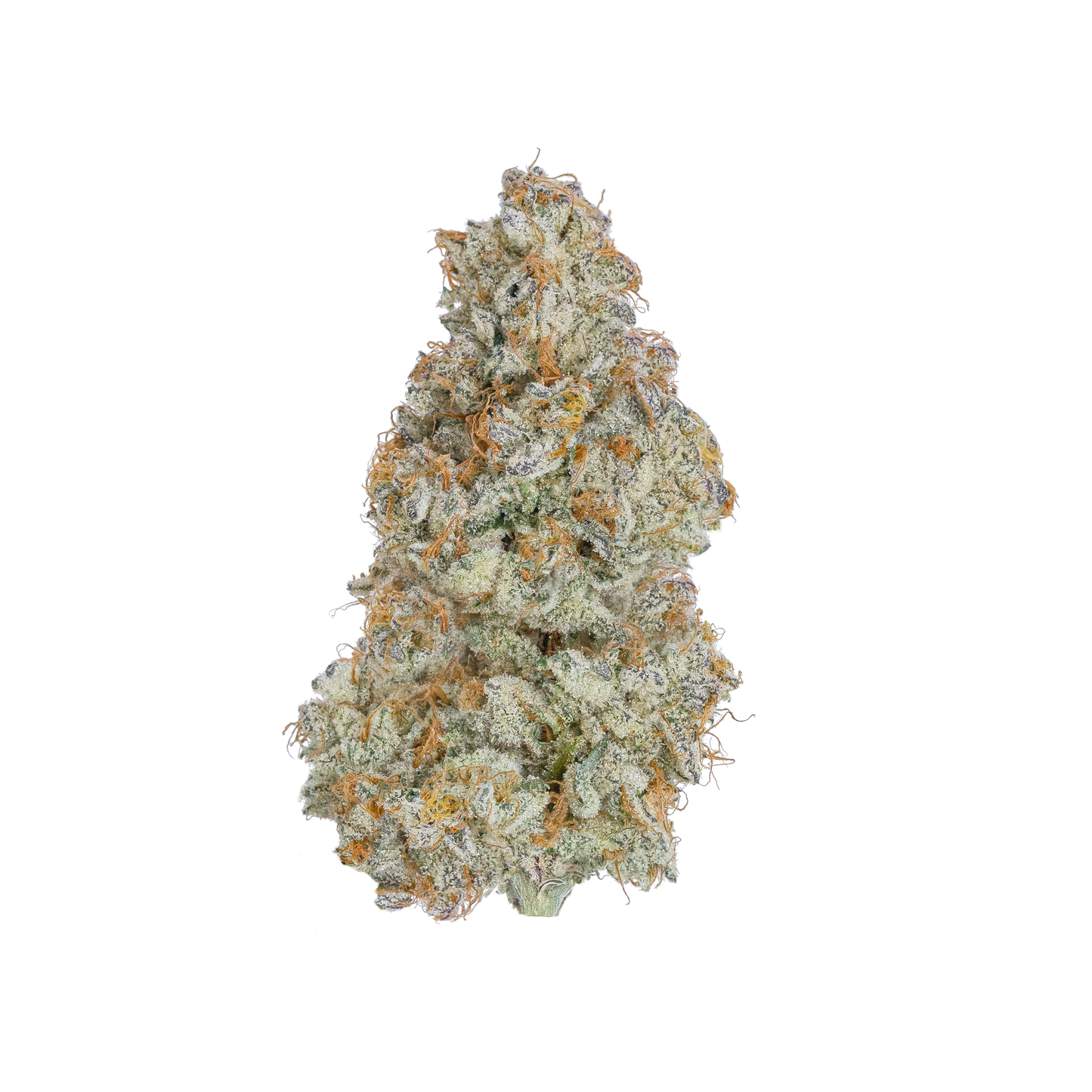 Cereal Milk (Hybrid)