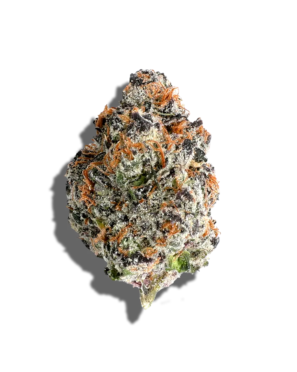 Cherry Poppers (Hybrid)