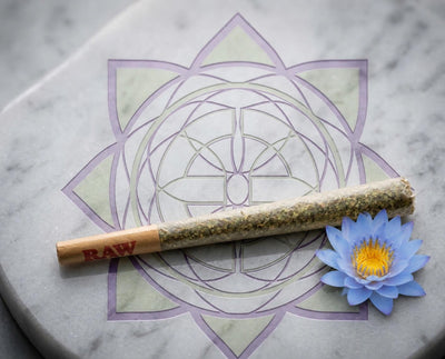 Exotics House Pre-Roll 1.5g blue lotus blend in a RAW cone beside a blue lotus flower on the Exotics emblem