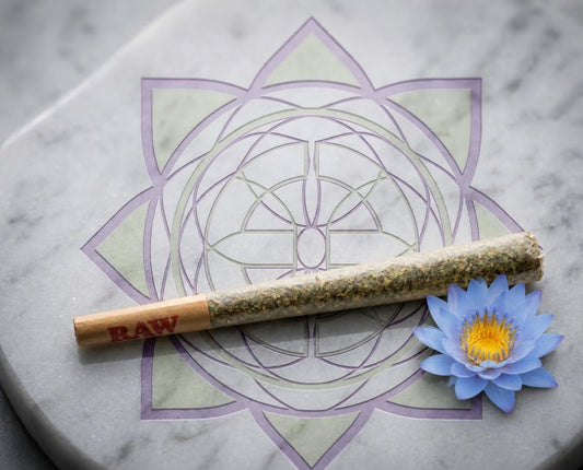 Exotics House Pre-Roll 1.5g blue lotus blend in a RAW cone beside a blue lotus flower on the Exotics emblem