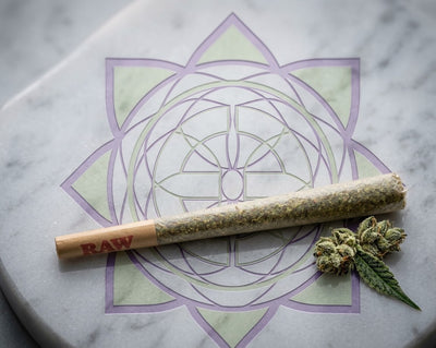 Exotics House Pre-Roll 1.5g herbal blend in a RAW cone on the Exotics emblem