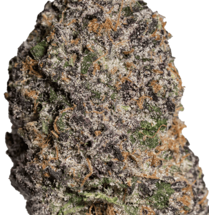 Apple Rock Candy(Hybrid) THC-A hemp flower - ExoticsDispo