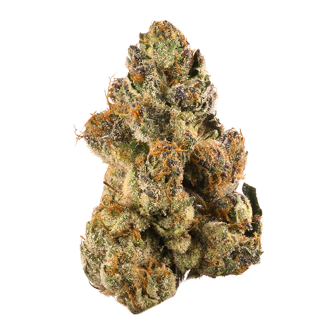Gelato Butter (Hybrid)