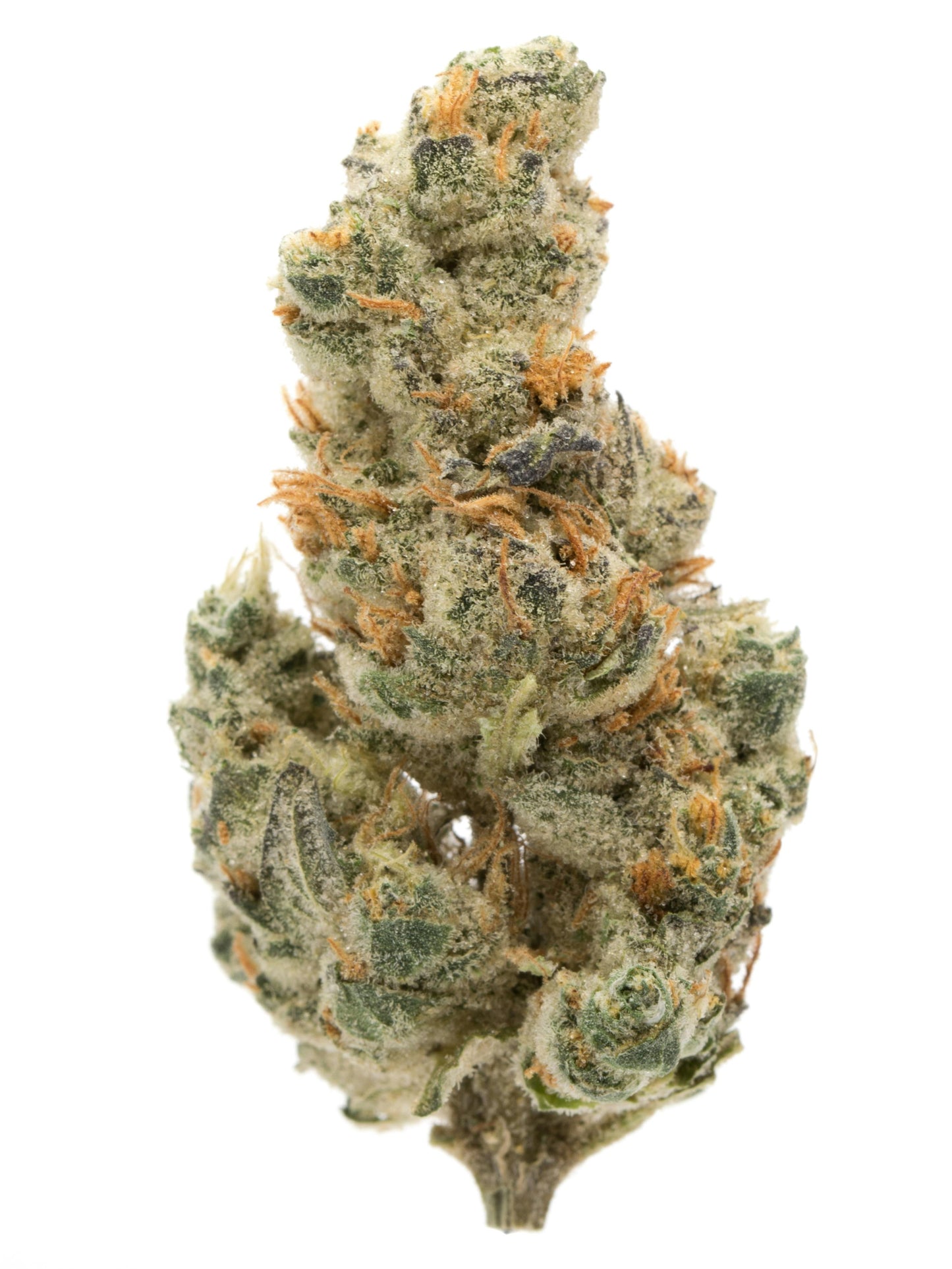 GMO (Indica Dom. Hybrid)