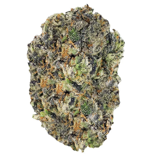 Grape Gusherz (Hybrid) - product image