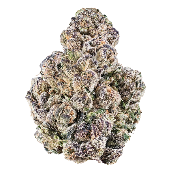 Grapechata (Hybrid)