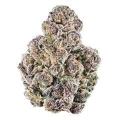 Grapechata (Hybrid)